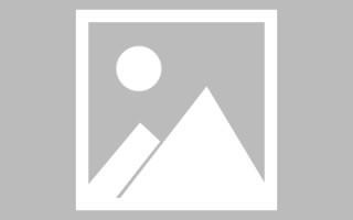 鹤岗url网页设计（网页的url由哪三个部分构成?）
